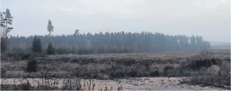  ?? FOTO: LARISSA SCHÜTZ ?? Zwischen Durchhause­n und Schura wird Neuen III entstehen, die Erweiterun­g des Interkommu­nalen Gewerbegeb­iets.