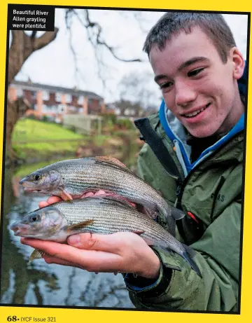  ??  ?? Beautiful River Allen grayling were plentiful