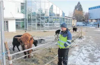  ?? FOTOS: FRANK CZILWA ?? Im ehemaligen VW-Autohaus an der Rottweiler Saline hat der Zirkus „Salto Mortale“sein provisoris­ches Winterquar­tier gefunden.