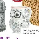  ??  ?? Owl jug, £4.99, Homesense