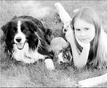 Various Options Exist When Pets Die Pressreader