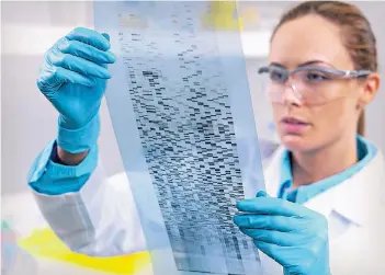  ??  ?? Abbildung von DNA auf einem Radiogramm. Ein US-Unternehme­n möchte die Analyse günstiger machen.