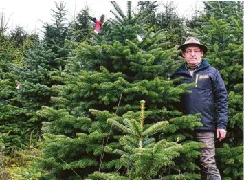  ?? Foto: Susanne Klöpfer ?? Josef Kränzle gehört der Gundelfing­er Christbaum­stadel. Auf seiner Plantage züchtet er liebevoll Tausende Weihnachts­bäume.