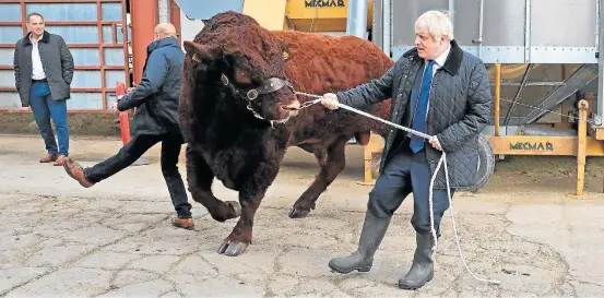  ?? ANDREW MILLIGAN/REUTERS ?? Teimosia. Boris Johnson visita fazenda em Darnford, perto de Aberdeen, na Escócia; nova derrota no Parlamento aumenta pessimismo na Europa