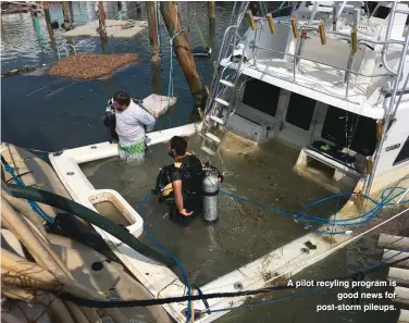  ??  ?? A pilot recyling program is good news for post-storm pileups.