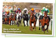  ?? ?? Have a flutter on the Grand National