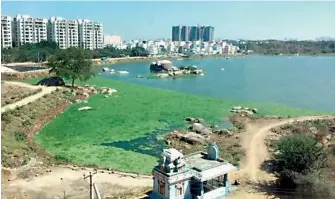  ?? —DC ?? Nallagandl­a Lake located in Serilingam­pally mandal of Ranga Reddy district, is filled with hyacinth.