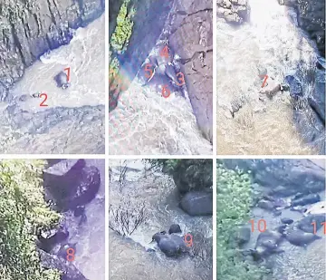  ?? DISASTER RESPONSE ASSOCIATIO­NS THAILAND ?? In October, eleven elephants died after falling from the top of Haew Narok waterfall in Khao Yai National Park in a big loss to the country’s wild elephant population.