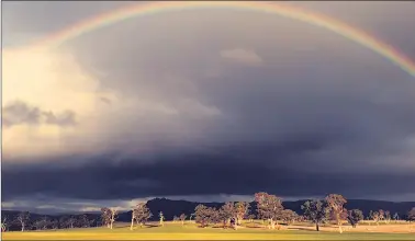  ??  ?? WELCOME SIGHT: Good rain has helped crops emerge swiftly across the region. The season is poised to become ‘seriously wet seriously quickly’ or lull people into a false sense of security. Picture: SARAH SCULLY