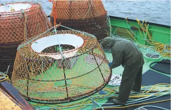  ??  ?? Des hommes de pont transporte­nt les cages à homards sur un navire de pêche. - Archives