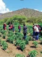  ??  ?? UNL. Estudiante­s realizan paseo ecoturísti­co y trabajan en la estación experiment­al