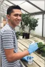  ??  ?? Greenwich High School senior Edgar Sosa was one of two Greenwich students selected as a 2021 Regeneron Science Talent Search finalist.