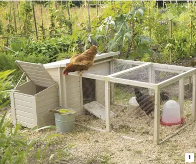  ??  ?? 1
1. Résistant bien à l’humidité et à l’usure, voici un poulailler en plastique recyclé et fibre de bois, avec enclos. Poulailler (73 x 134 x 73 cm) et enclos (62 x 119 x 86 cm), 199 et 129 €, Botanic.