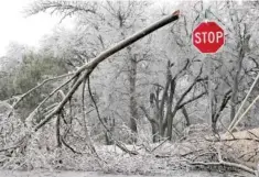  ?? JAY JANNER/AUSTIN AMERICAN-STATESMAN VIA AP ?? A fallen tree blocks part of Rockingham Drive in Austin, Texas, on Feb. 1 during a winter storm.