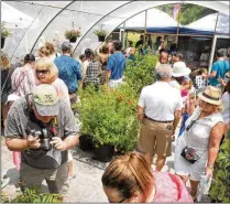  ?? STEVE SCHAEFER FOR THE AJC 2019 ?? People take photograph­s and look at butterflie­s during the 2019 Flying Colors Butterfly Festival at the Chattahooc­hee Nature Center in Roswell. The 2023 festival runs Saturday through June 4.