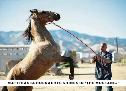  ?? Focus Features ?? MATTHIAS SCHOENAERT­S SHINES IN ‘THE MUSTANG.’