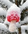  ?? Foto: ug ?? Hut unter der Haube. Weiß verziert prä sentiert sich dieser Häkelpilz, mit dem ein Unbekannte­r im Pfaffenhau­sener Wald ei nen Baum geschmückt hat.