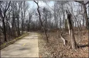  ?? NWA Democrat-Gazette/FLIP PUTTHOFF ?? Trail of Two Cities meanders through woods, seen here Feb. 14, and urban areas in Bentonvill­e and Rogers.