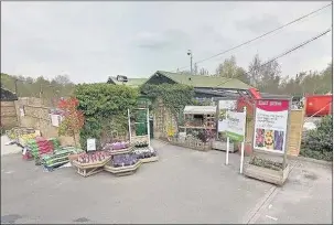  ??  ?? Hillingdon’s Wyevale Garden Centre in Pield Heath Road will shut for good at the end of January