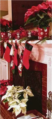  ?? Norman Winter / TNS ?? Use poinsettia­s throughout the home for beautiful Christmas décor.