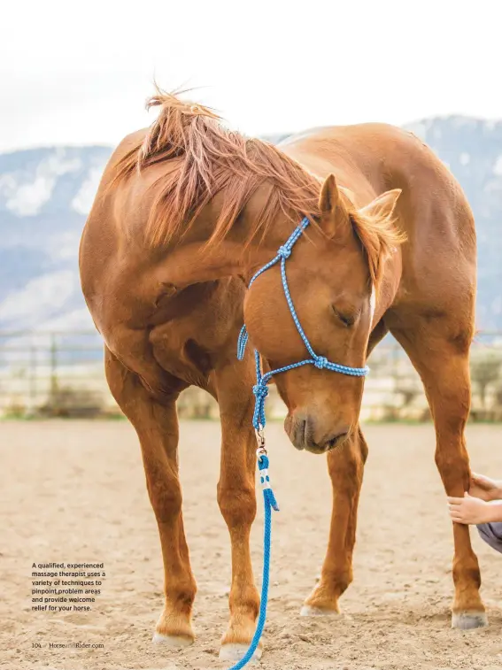  ??  ?? A qualified, experience­d massage therapist uses a variety of techniques to pinpoint problem areas and provide welcome relief for your horse.