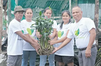  ?? ?? Members of KAMAMANA hold mangrove propagules in the mangrove nursery in Del Carmen, Siargao.