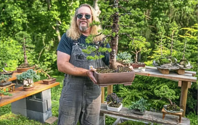  ?? Andrew Rush/Post-Gazette ?? Ian Evans, a jazz drummer turned bonsai tree grower, in his backyard in Peters with a dwarf Alberta spruce he has nicknamed “Big Suze.”