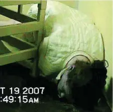  ?? THE CANADIAN PRESS FILE PHOTO ?? Ashley Smith is shown on the floor, wedged between a steel cot and the wall of her segregatio­n cell, in this court exhibit video.