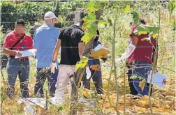  ??  ?? Hipótesis. Extraofici­almente se supo que el hombre había sido amenazado por pandillero­s, pero dicha versión no fue confirmada por la jefatura policial.