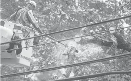  ?? MARKMIRKO/HARTFORD COURANT ?? An Eversource lineman on Route 151 in Moodus cuts branches away from power lines damaged by Tropical Storm Isaias.