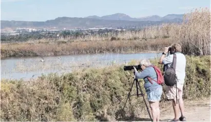  ??  ?? Bird watchers at El Hondo