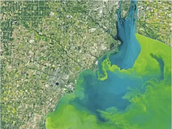  ?? NASA VIA AP ?? This Sept. 26 satellite image made available by NASA shows Toledo, Ohio, in the lower left corner with a large phytoplank­ton bloom in western Lake Erie.