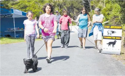  ?? Photos / Supplied ?? Kiwi aversion training for dogs is part of the trust’s work to protect native fauna.