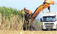  ?? ?? Zimbabwe’s sugar sector had immense potential to contribute to the country’s Gross Domestic Product (GDP) if relevant authoritie­s were to put heads together and counter barriers being encountere­d in the sector.