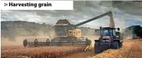  ?? ?? > Harvesting grain