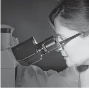  ?? Marie D. De Jesús / Houston Chronicle file ?? Raffaella Soldi, director of biology of Beta Cat Pharmaceut­icals, looks through a microscope at the Johnson & Johnson Innovation JLABS business incubator not far from the Texas Medical Center.