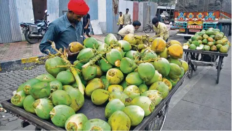  ?? Foto: Divyakant Solanki ?? In Indien, Sri Lanka und anderen tropischen Ländern werden Kokosnüsse an der Straße verkauft. Sie sind der optimale Durstlösch­er, wenn es sehr heiß ist. Mittlerwei­le kann man abgefüllte­s Kokosnussw­asser auch in Deutschlan­d kaufen – wirklich gut schmeckt es aber nur, wenn es frisch aus der Kokosnuss kommt.