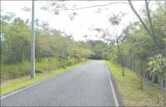  ??  ?? Grupos de lucha ambiental y vecinos realizan actividade­s desde hace un año en el parque para instar a las autoridade­s a salvarlo.