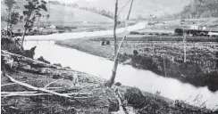  ?? COPIES OF PICTURE AVAILABLE FROM ODT FRONT OFFICE, LOWER STUART ST, OR WWW.OTAGOIMAGE­S.CO.NZ ?? A picturesqu­e bend on the Owaka River, Catlins District, Otago. — Otago Witness, 1.1.1919.