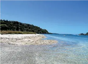  ?? PETE TOWNEND ?? The Long Bay Okura Great Park Society argues developmen­t on nearby land will detrimenta­lly affect the neighbourl­ing marine reserve.