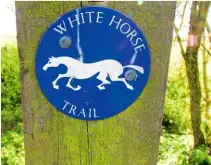  ??  ??  NO HURDLES The distinctiv­e waymarkers of the White Horse Trail lead you from one hillside etching to the next.