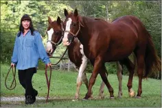  ??  ?? SHELTERING: Cathy Woods cares for her two horses, Sampson and Dan (right) on her property in the Great Smoky Mountains of North Carolina.