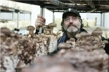  ?? Tribune News Service ?? ■ Paul Stamets, a renowned expert on mushrooms, nurtures fungi near his home in Shelton, Wash., in a 2010 file image.