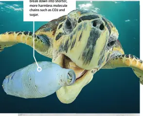  ?? SHUTTERSTO­CK ?? Billions of pieces of plastic float about the oceans, but in about 60 years, a bacterium has learned to break down the plastic.