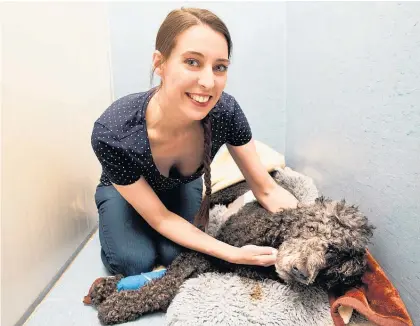  ?? Picture/Martin Hunter ?? Pip Clark with five-year-old poodle Charlie after his operation.