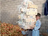  ?? Reuters ?? A boy holds boxes in which pomegranat­es are to be packed for export in Saada, Yemen. —