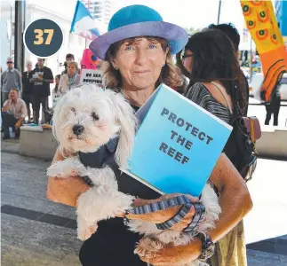  ?? DYNAMIC DUO: Jenny Brown and her dog Eddie campaign for the Reef. Picture: MEGAN TAYLOR ??