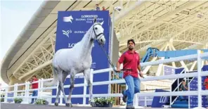  ??  ?? The vet check for the horses was held at Al Shaqab yesterday.