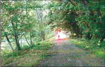  ??  ?? This June 13, photo shows versicolor, or ‘Chinese lanterns,’ fireflies that seem to float through the air along a path on the Tionesta Creek in Kettlevill­e, Pa. (AP)