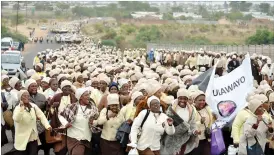  ??  ?? Thousands of Roman Catholic women on Saturday took to the streets of Pumula Surburb from St Bernard’s Mission Primary School up to Fatima Vocational training Centre during the Annual National prayer where women of St Anne from all over the country come...